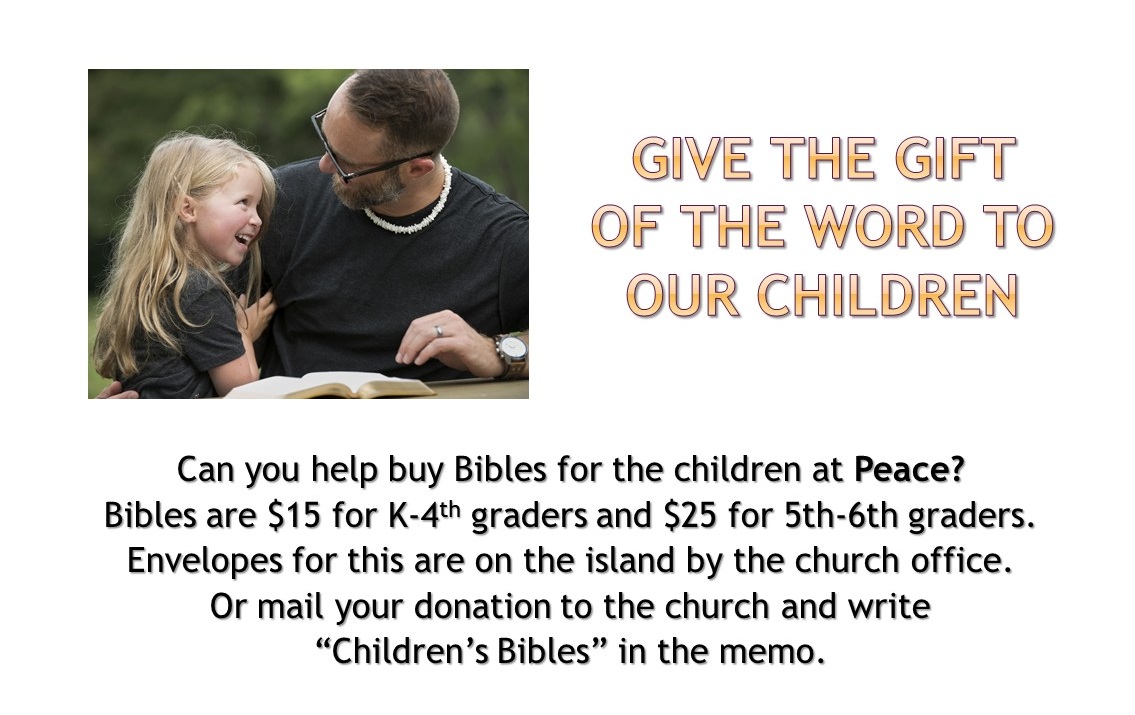 Children's Bibles 2025